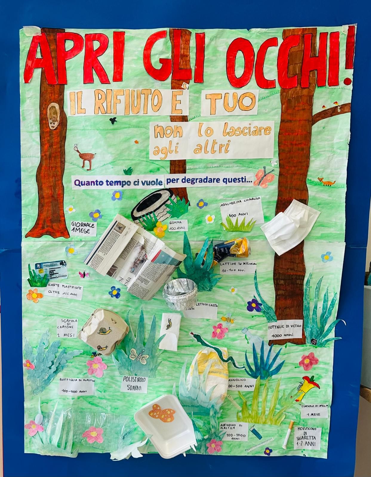 Immagine della Soluzione dal territorio