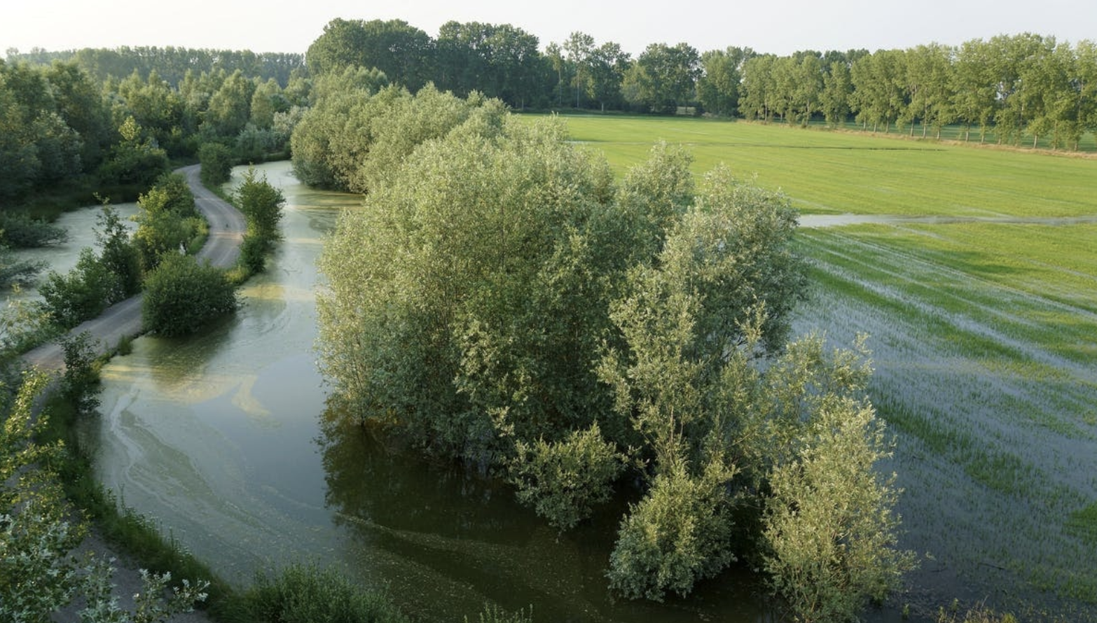 Immagine della Soluzione dal territorio