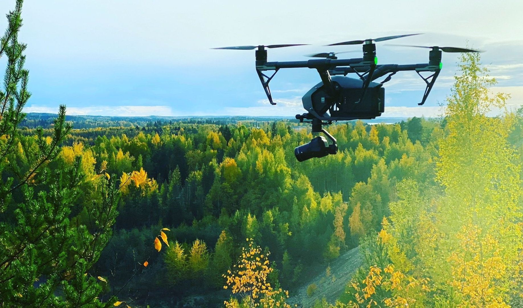 Con WatchEDGE AI e sensori per il monitoraggio della fauna selvatica