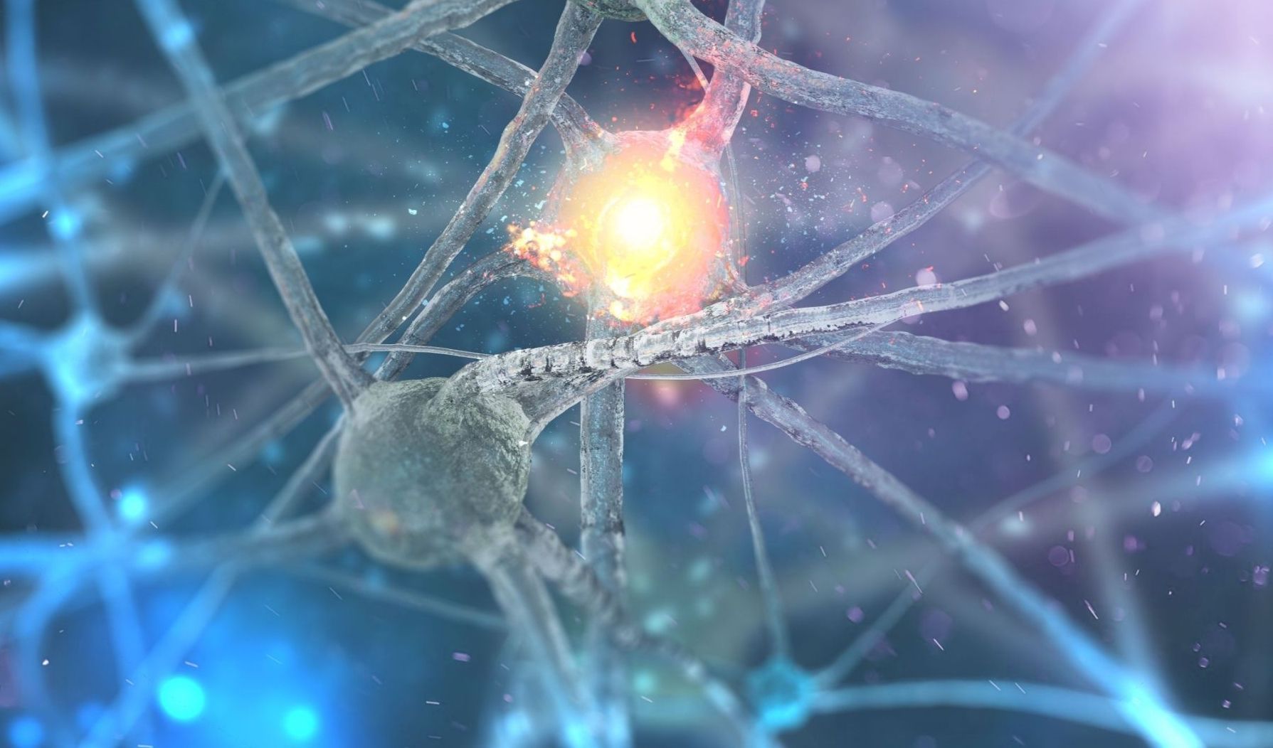 Diluca (UniMi): “Dalla ricerca sull’Alzheimer alle terapie, il ruolo del PNRR”