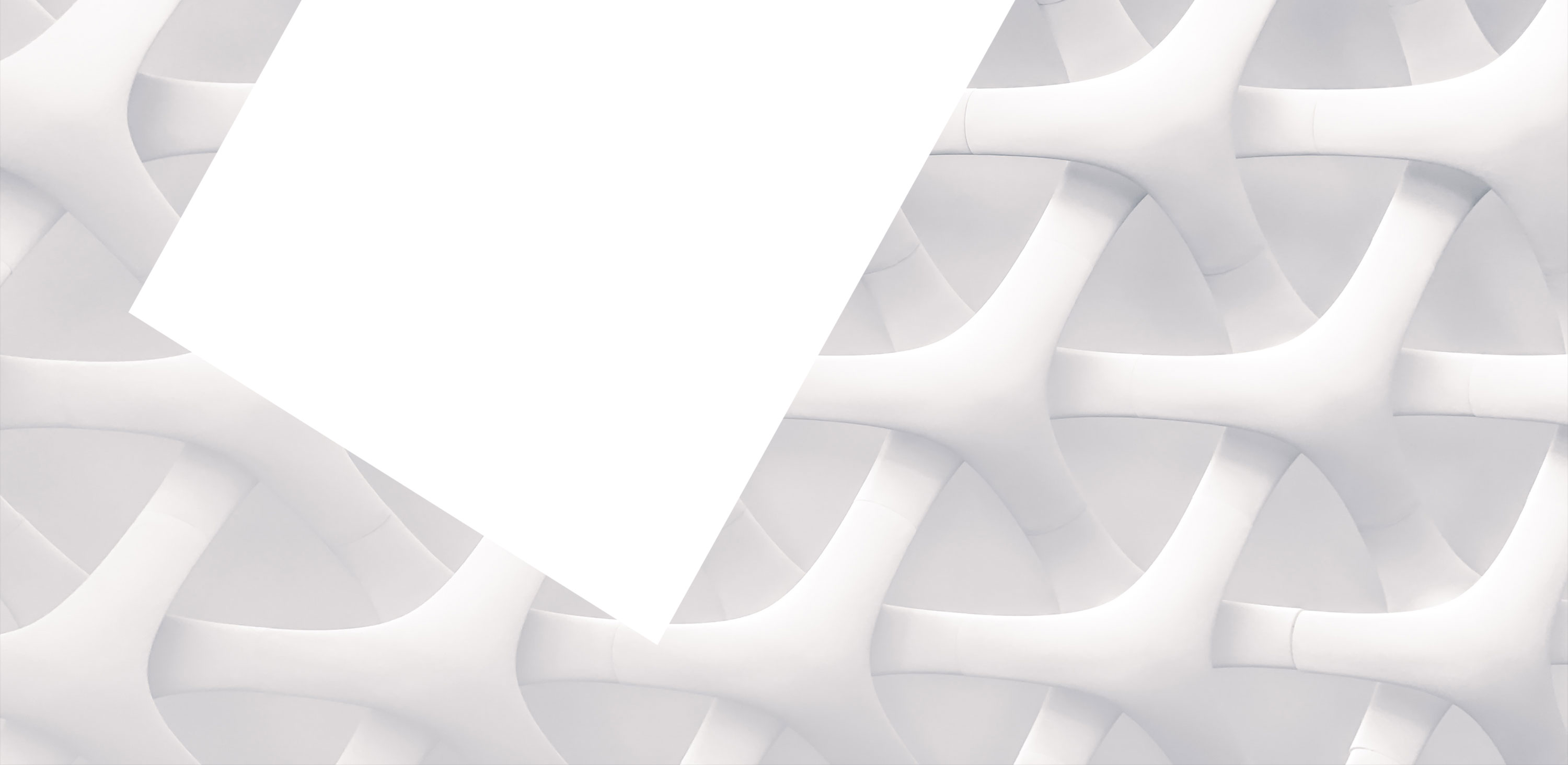 Immagine del carousel