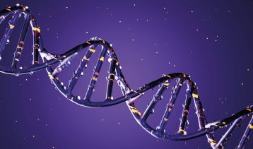 Vai alla notizia Premio “Lombardia è Ricerca”, scopri i 15 top scientists della Giuria