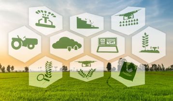 Vai alla notizia La sfida agritech di xFarm, ecosistema di servizi per l’agricoltura digitale