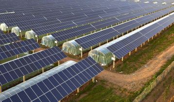 Vai alla notizia PNRR, fino al 27/10 i contributi per impianti fotovoltaici in agricoltura