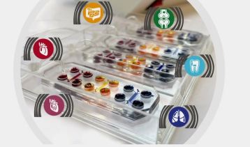 Vai alla notizia Mini organi funzionali su chip: così la startup BiomimX testa farmaci e terapie