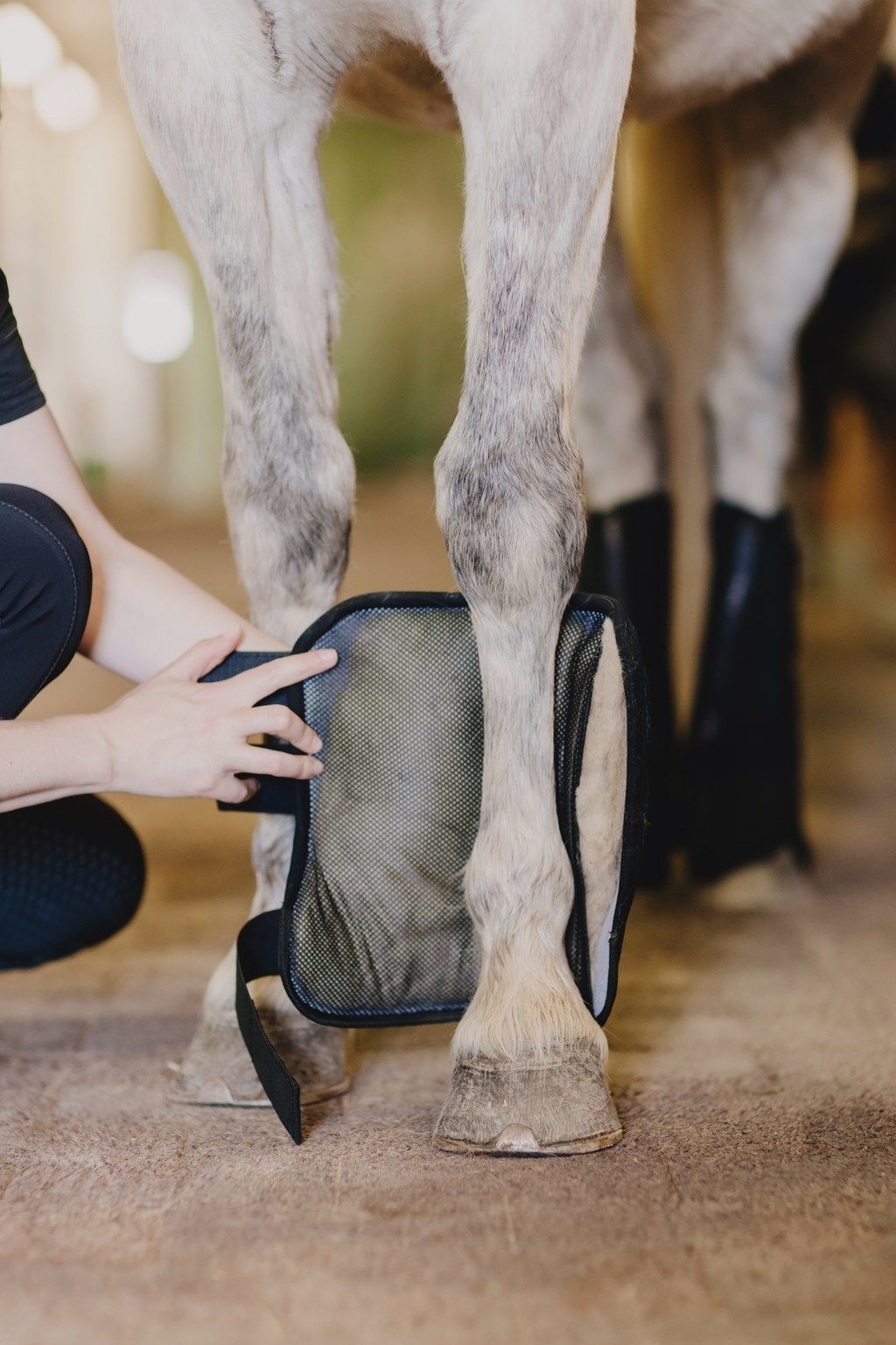 Accessori finlandesi sostenibili in lana di pecora per la cura dei cavalli