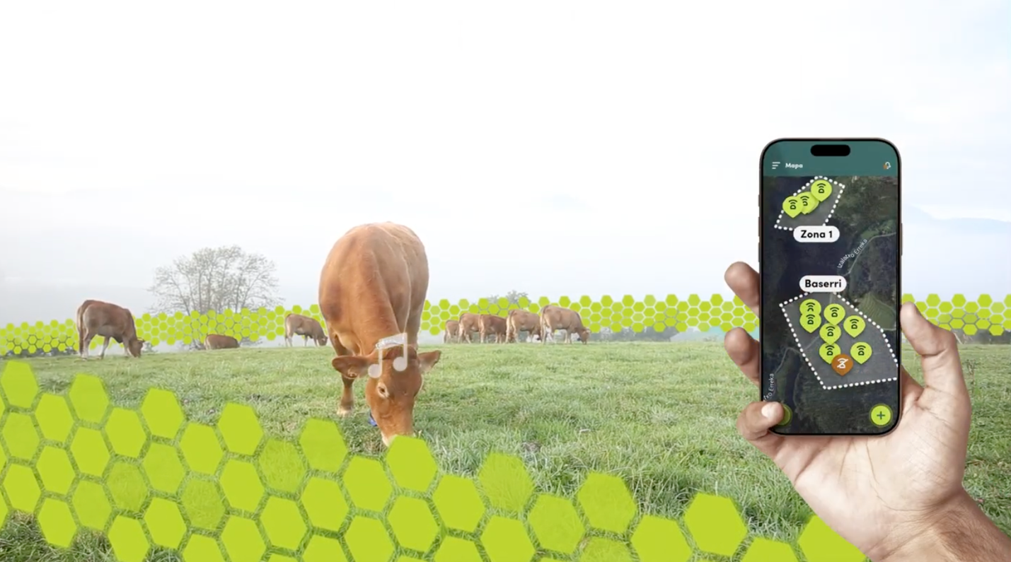 Recinzione virtuale e gestione dei pascoli con IA per bovini/cavalli