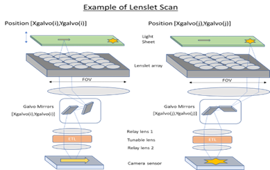 Università spagnola offre tecnologia di microscopia laser a foglio di luce per imaging 3D biologico