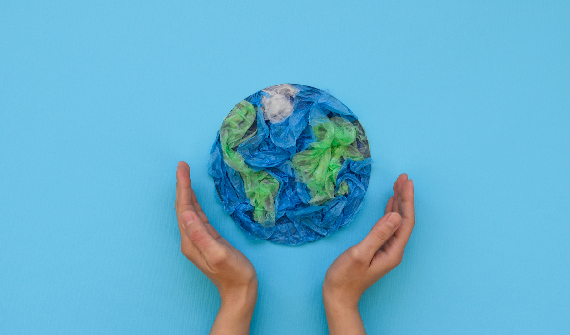 Immagine della discussione