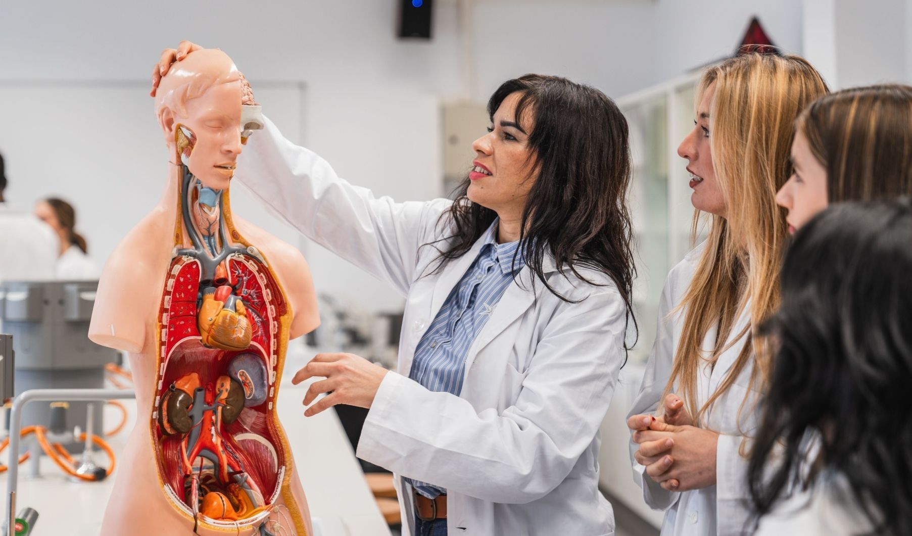 Medicina, al via le iscrizioni dopo il semestre filtro: il calendario