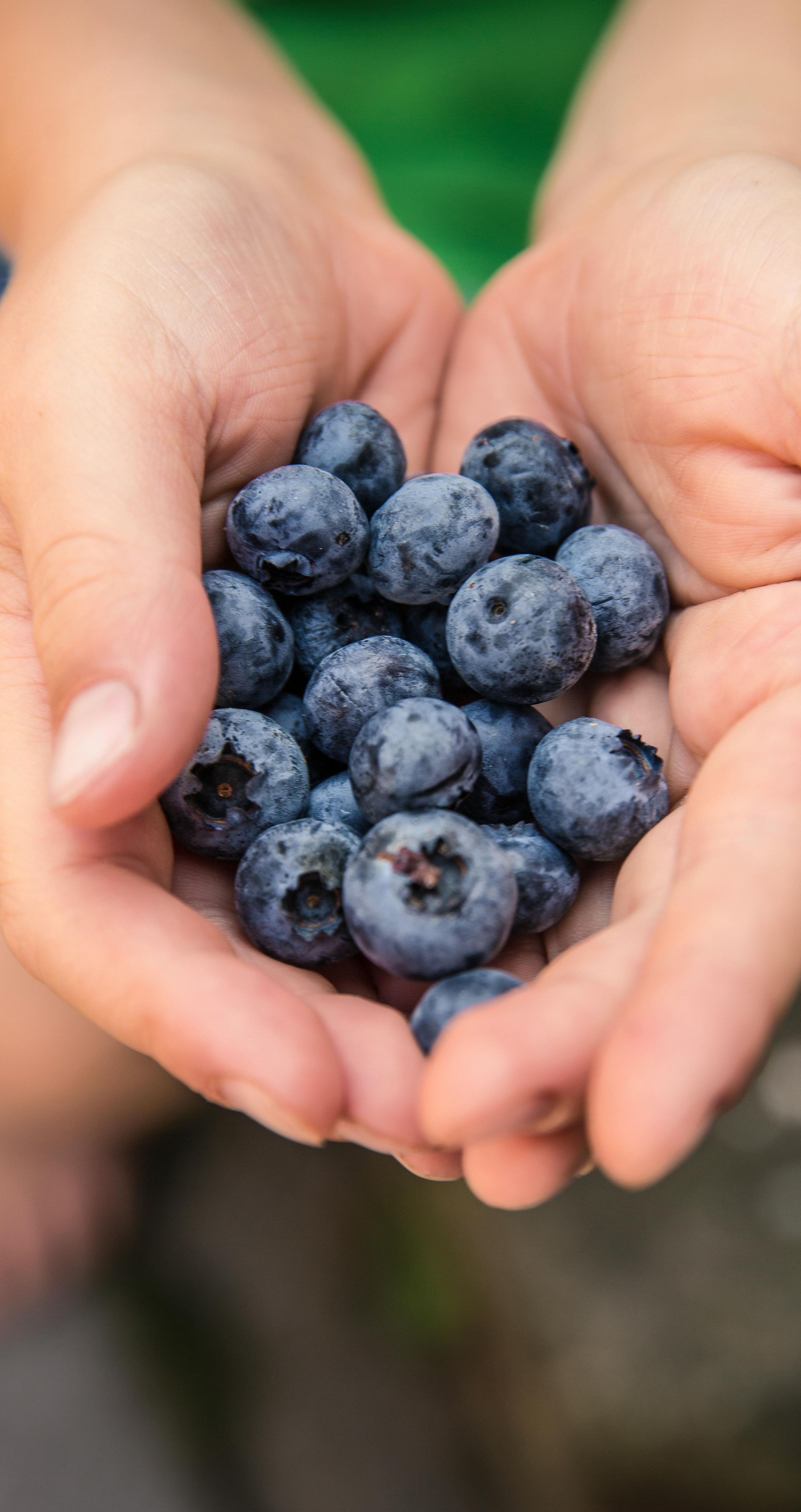 immagine progetto lombardia 2030