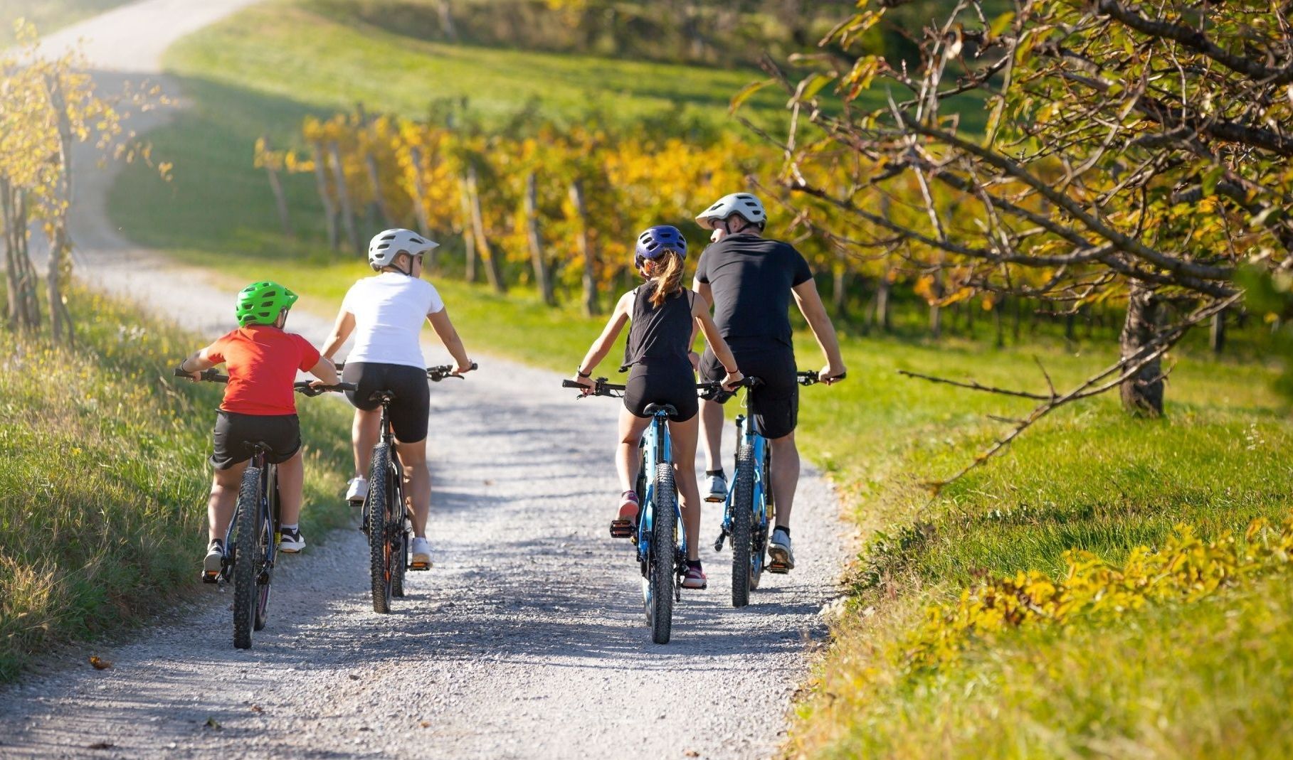 Immagine della notizia