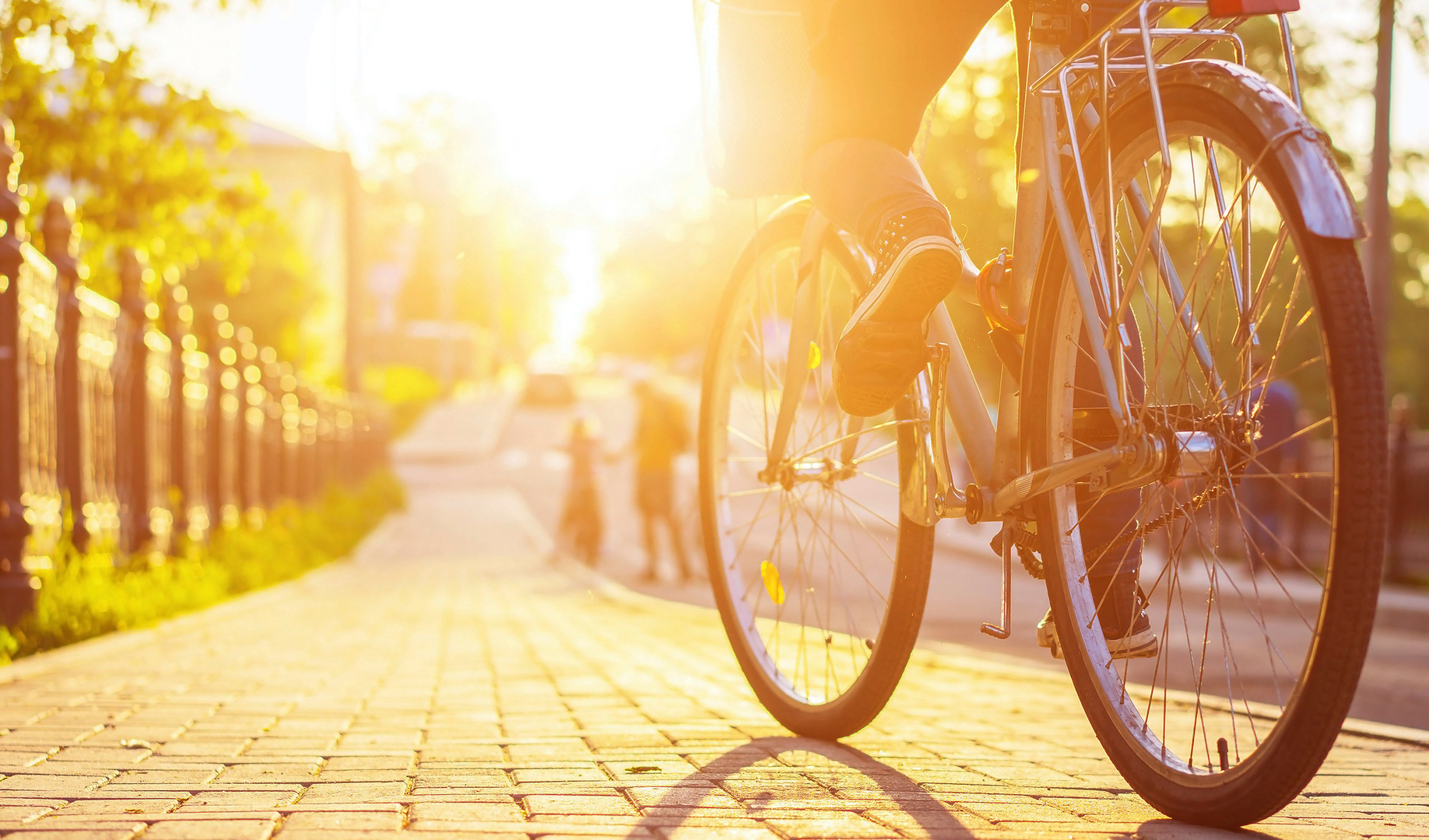 Immagine della discussione