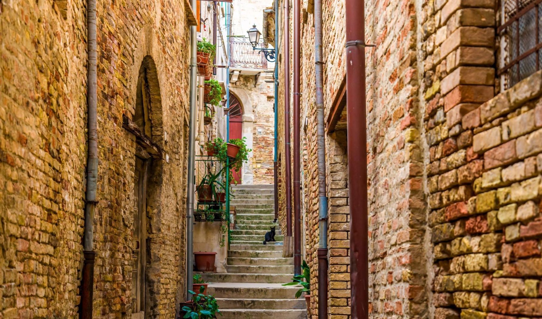 Immagine della notizia