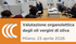 23/04: Corso di formazione: Valutazione organolettica degli oli vergini di oliva