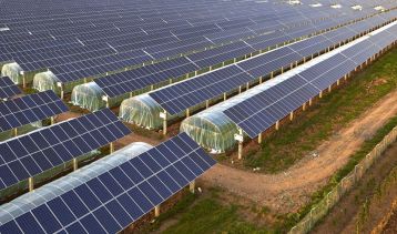 Vai alla notizia “Sviluppo Agrivoltaico”, le graduatorie delle procedure Registri e Aste