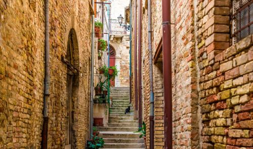 Immagine della notizia