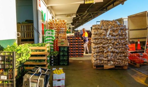 Immagine della notizia