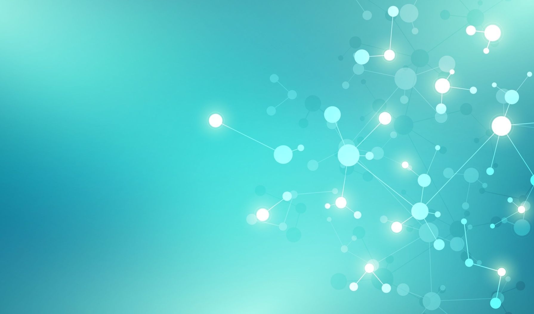 Immagine della notizia