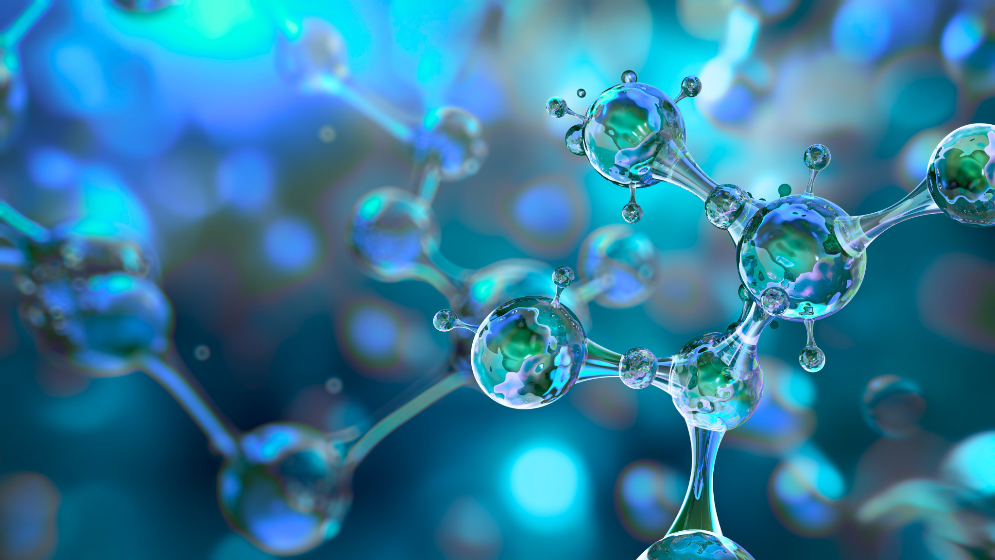 Immagine del carousel