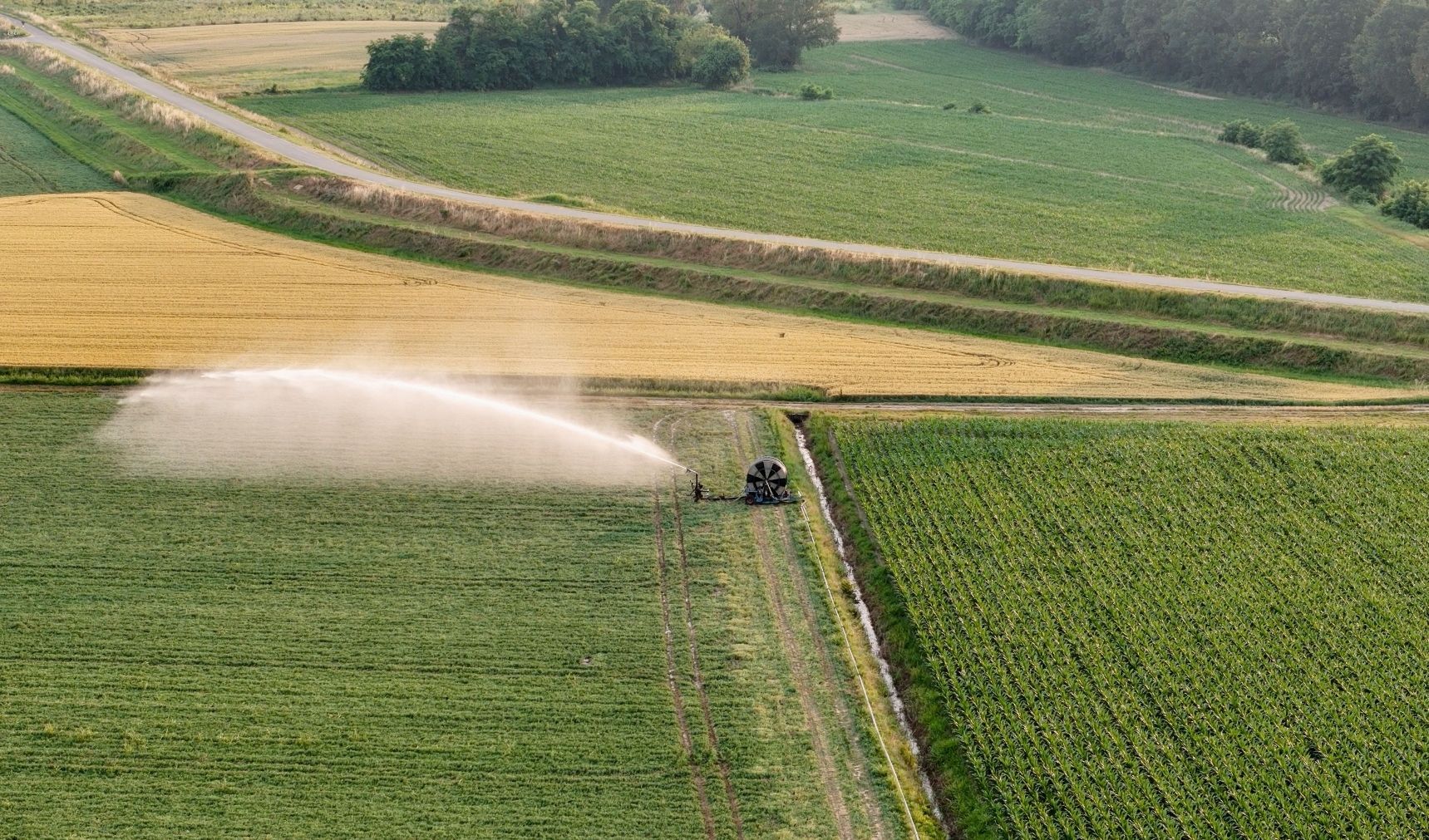 Immagine della notizia
