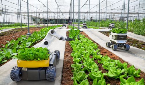 Immagine della notizia