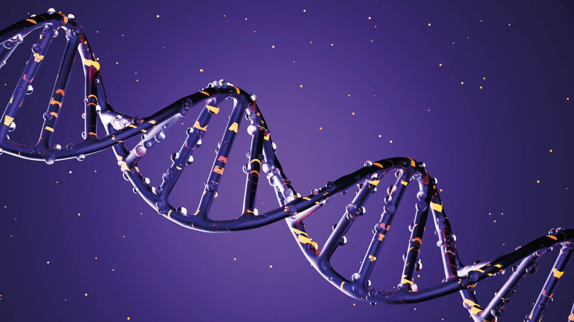 Immagine del carousel