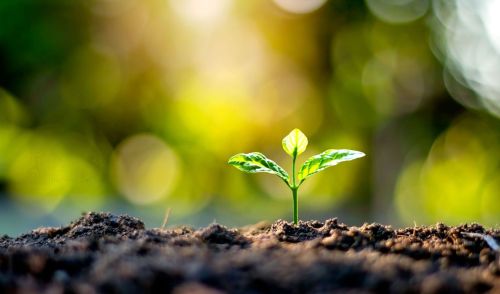 Immagine della notizia