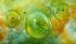 Bioindustria, il 7/4 Info Day sul Bando 2026 CBE JU